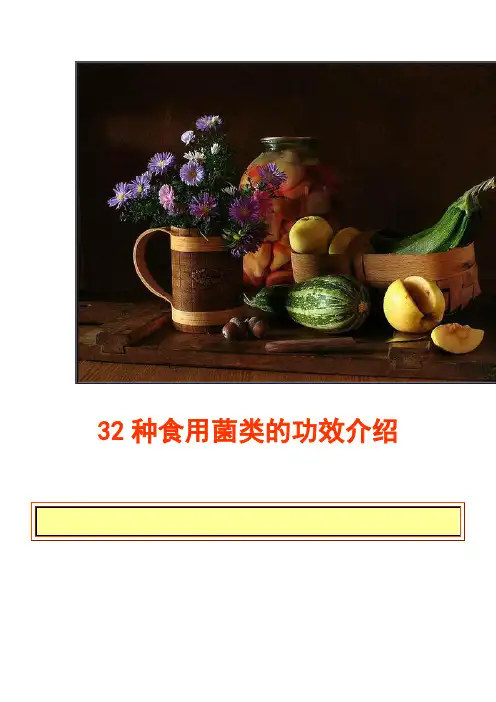 常见食用菌类的功效介绍