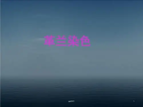 革兰氏染色  ppt课件