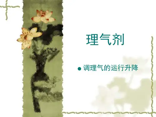 理气剂_精品文档