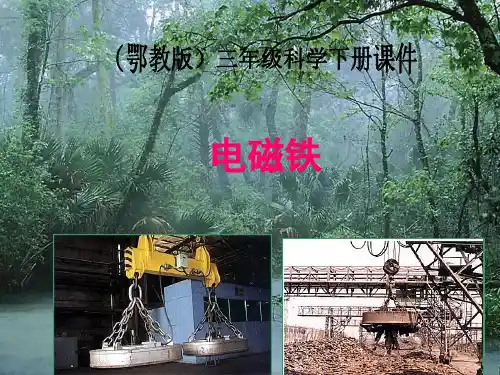 三年级科学下册 电磁铁1课件 