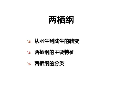 动物学--两栖纲