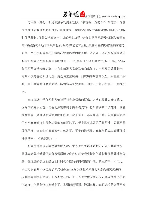 什么时候杀蚧壳虫好