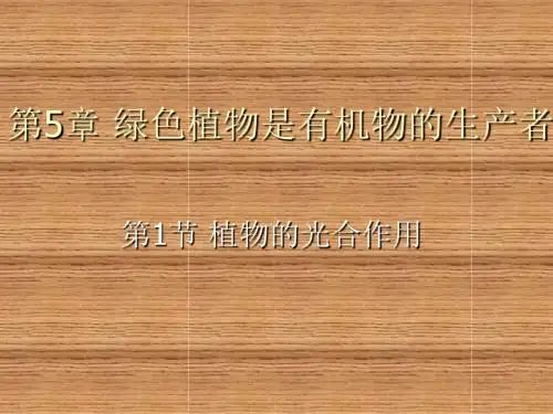 人教版科学六上《植物的光合作用》课件1