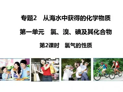 2018苏教版高中化学必修一2.1.2《氯气的性质》PPT课件2