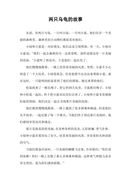两只乌龟的故事