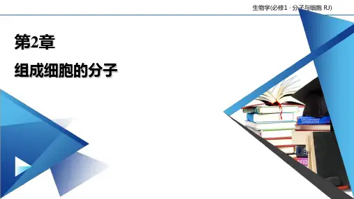 【新教材人教版化学】核酸ppt完整版1