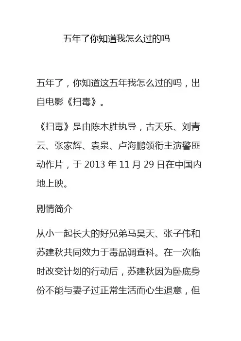 五年了你知道我怎么过的吗