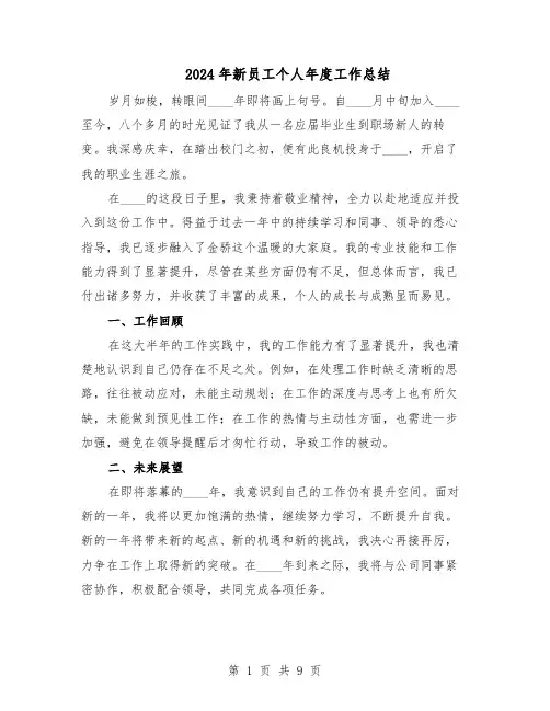 2024年新员工个人年度工作总结（5篇）