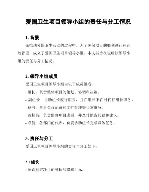 爱国卫生项目领导小组的责任与分工情况
