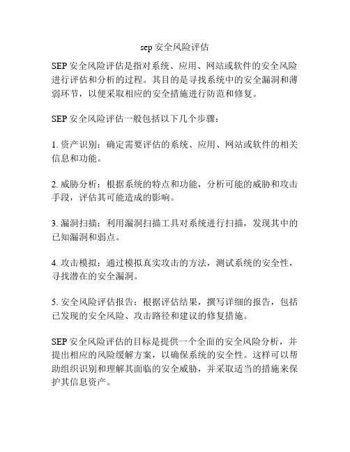 sep安全风险评估