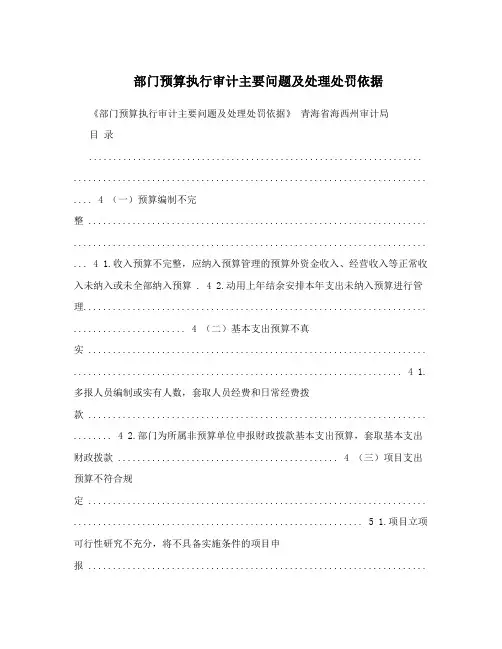 部门预算执行审计主要问题及处理处罚依据