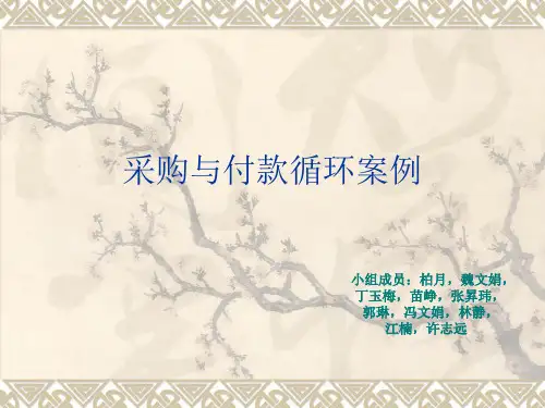采购与付款循环案例