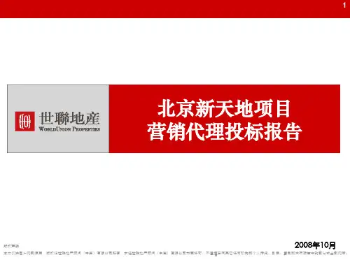 世联-北京-新天地项目项目营销代理投标报告XXXX
