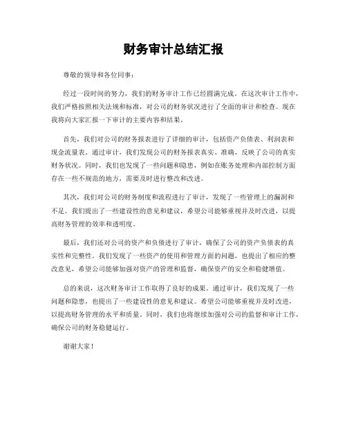 财务审计总结汇报