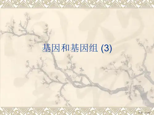 基因和基因组 (3)PPT课件