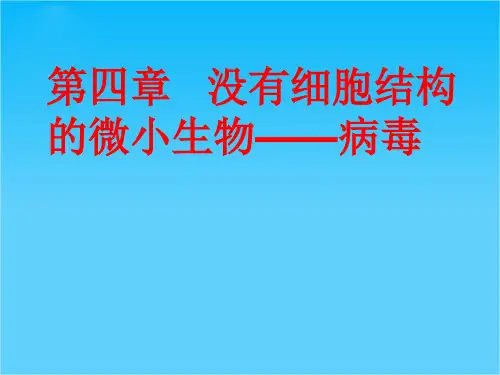 七年级生物上册 第一节没有细胞结构的微小生物课件 人教新目标版