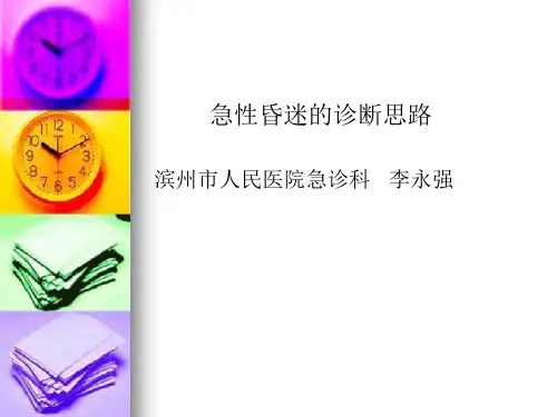 昏迷2008