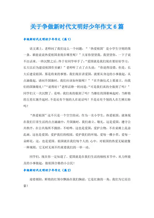 关于争做新时代文明好少年作文6篇.doc