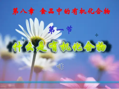 沪教版九年级化学8-1什么是有机物PPT课件