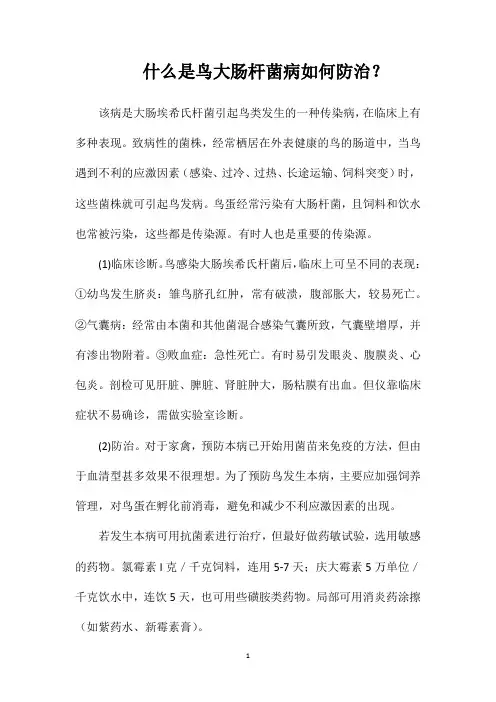 什么是鸟大肠杆菌病如何防治？
