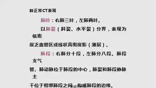 胸部CT学习教程