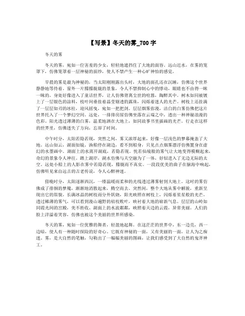 【写景】冬天的雾_700字