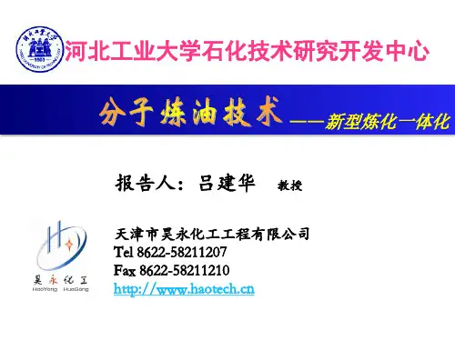 分子炼油技术