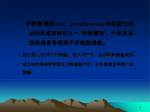 第13章 细胞周期与细胞分裂(共92张PPT)