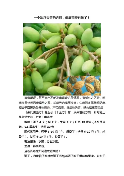 一个治疗失音的方剂，咽痛音哑有救了！