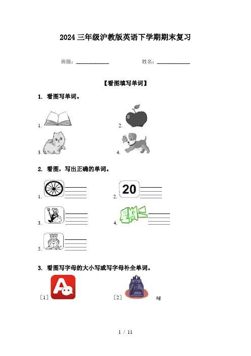 2024三年级沪教版英语下学期期末复习