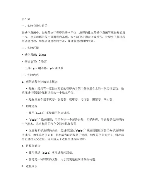 进程的建立实验报告(3篇)
