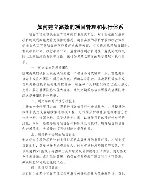 如何建立高效的项目管理和执行体系
