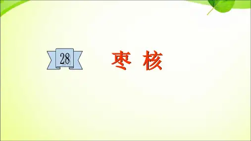 部编版教材《枣核》精品PPT1