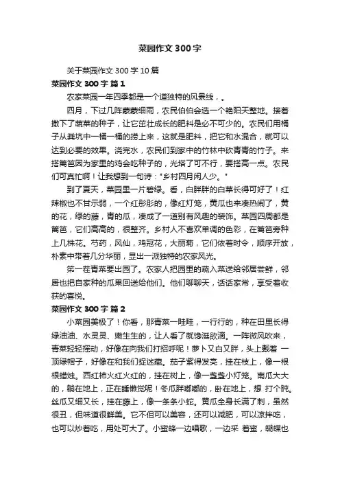 关于菜园作文300字10篇