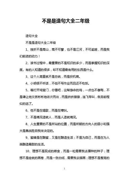 不是是造句大全二年级