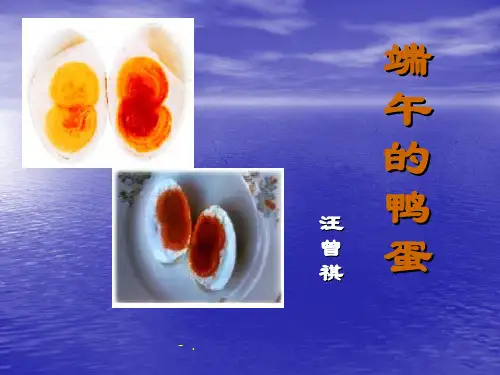 《端午的鸭蛋》PPT课件3