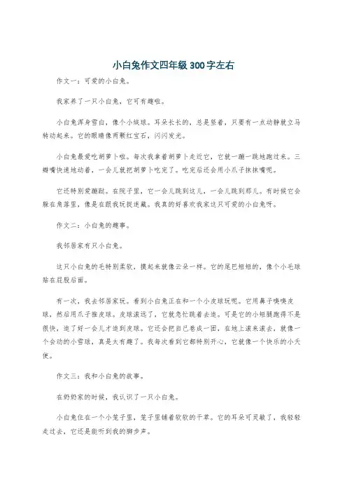 小白兔作文四年级300字左右