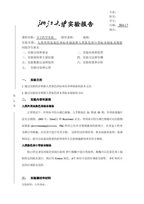 人类外周血染色体标本制备和人类染色体Ｇ带标本制备及观察