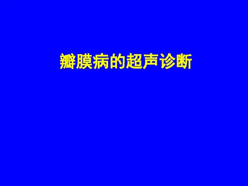 瓣膜病的超声诊断