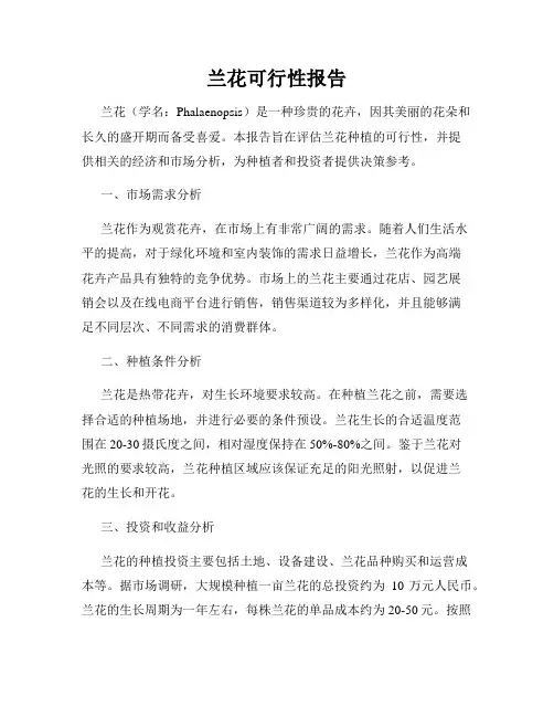 兰花可行性报告