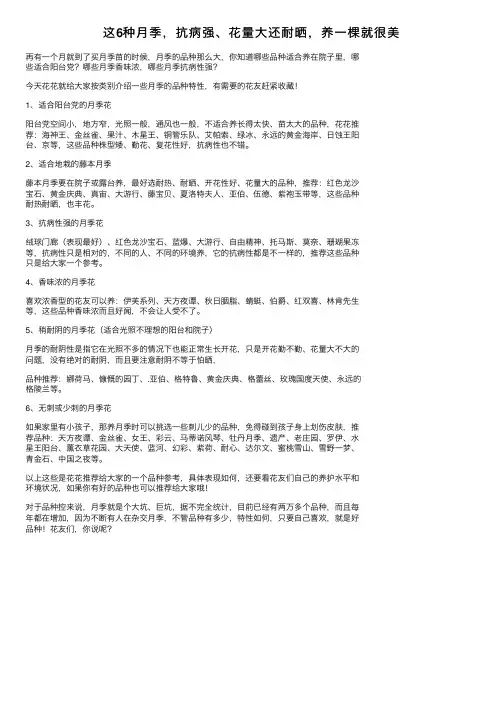 这6种月季，抗病强、花量大还耐晒，养一棵就很美