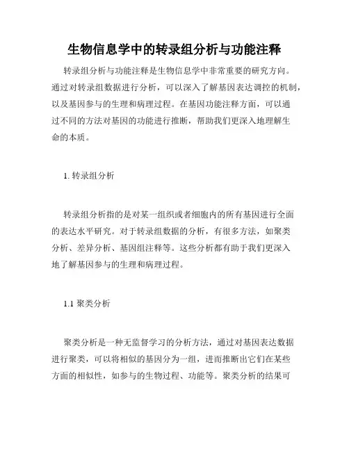 生物信息学中的转录组分析与功能注释