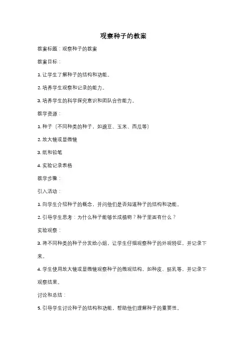 观察种子的教案