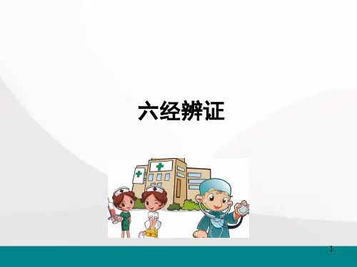 (精选课件)六经辨证