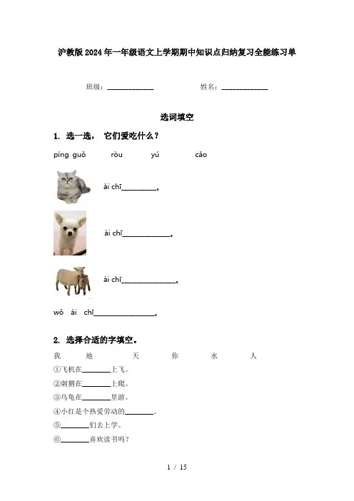 沪教版2024年一年级语文上学期期中知识点归纳复习全能练习单