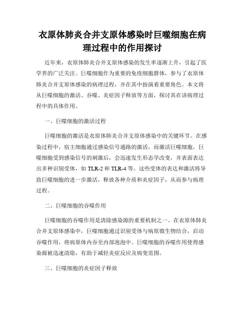 衣原体肺炎合并支原体感染时巨噬细胞在病理过程中的作用探讨