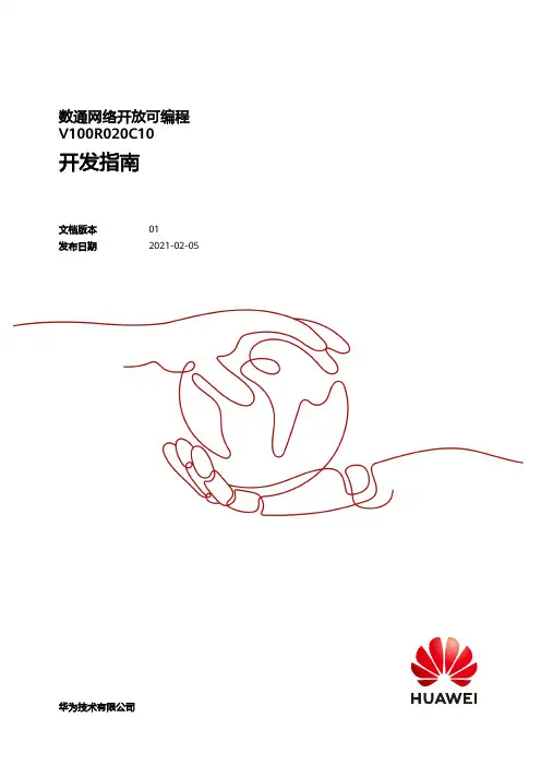 数通网络开放可编程V100R020C10开发指南说明书