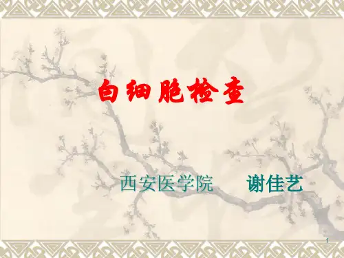 白细胞检查PPT课件