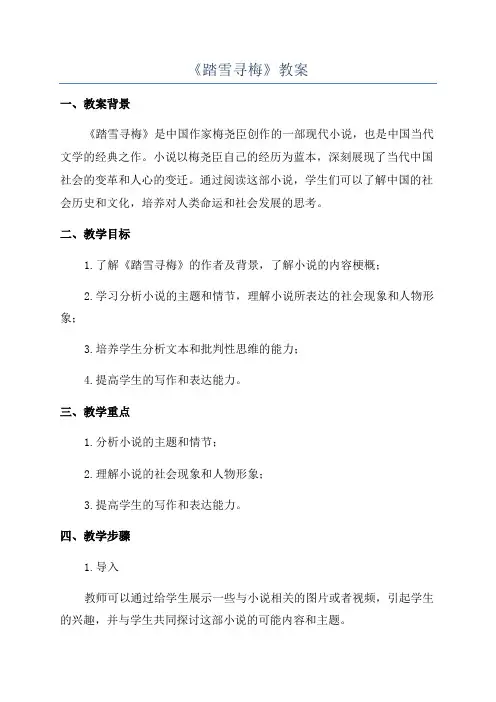 《踏雪寻梅》教案