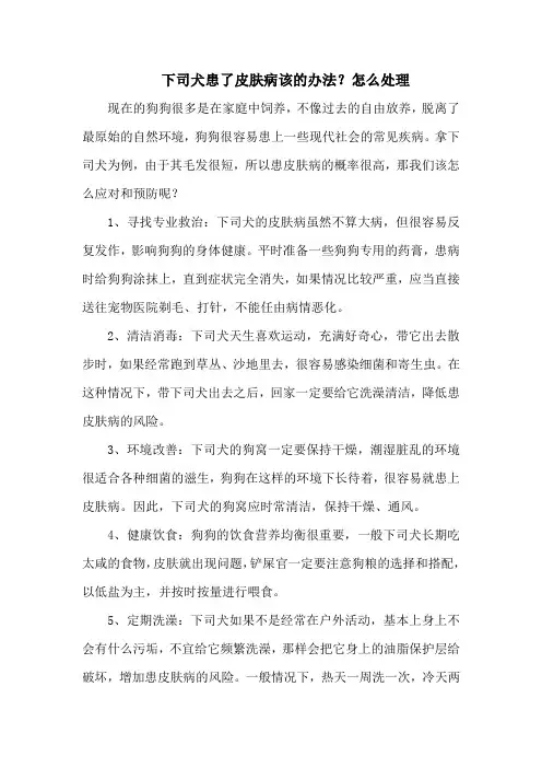 下司犬患了皮肤病该的办法？怎么处理
